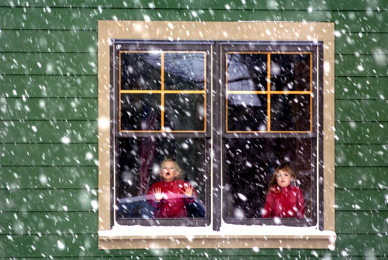December snowfall delights